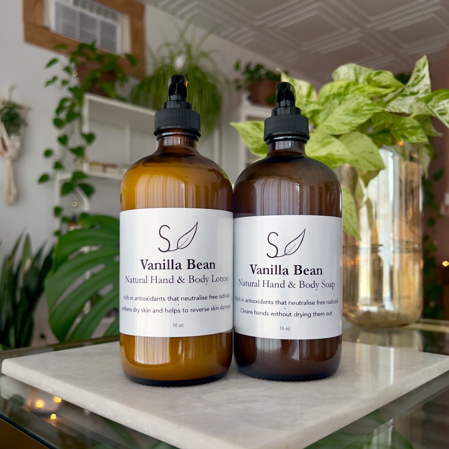 Vanilla Bean Hand & Body Lotion